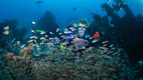 Aarhus Dive Site
