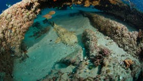 Aarhus Dive Site