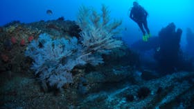 Cherubs Cave Dive Site