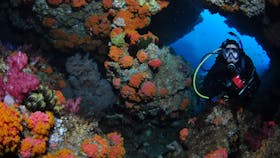 Cherubs Cave Dive Site