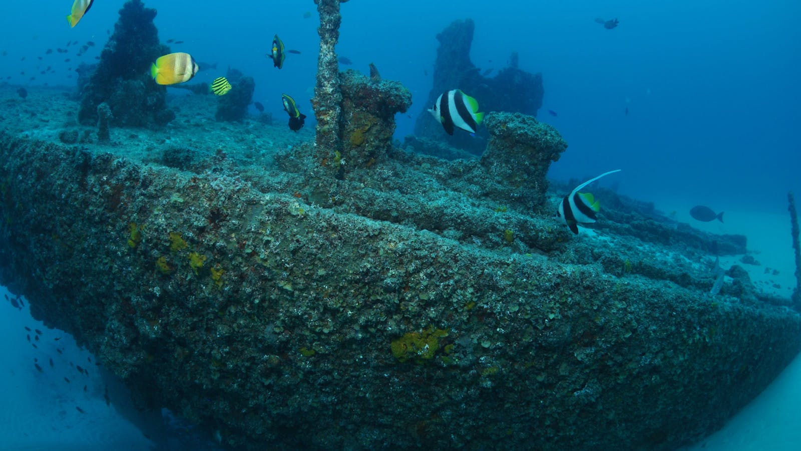 Curtin Artificial Reef Dive Site