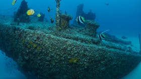 Curtin Artificial Reef Dive Site