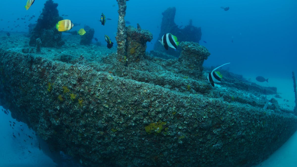 Curtain Artificial Reef