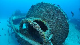 Curtin Artificial Reef Dive Site