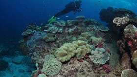 Flinders Reef