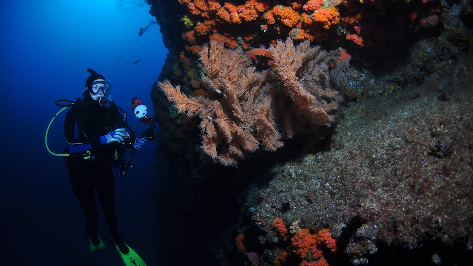Gotham City Dive Site