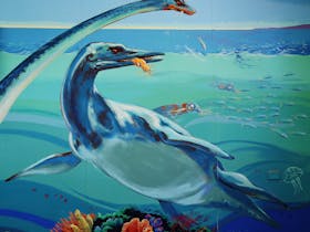 Marine Reptile Fossil Display
