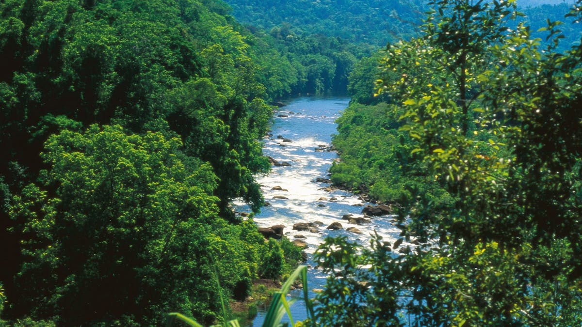 Tully Gorge Tropical North Queensland Australia