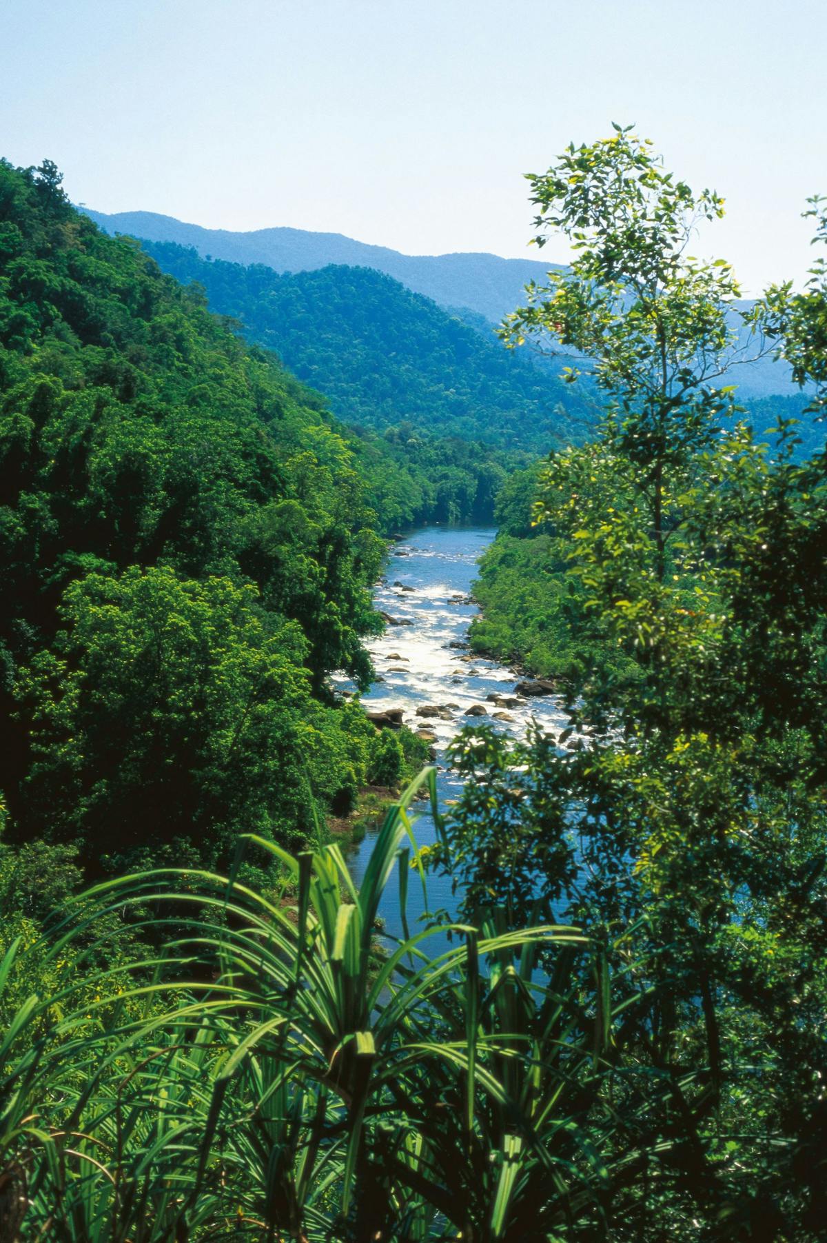 Tully Gorge Tropical North Queensland Australia