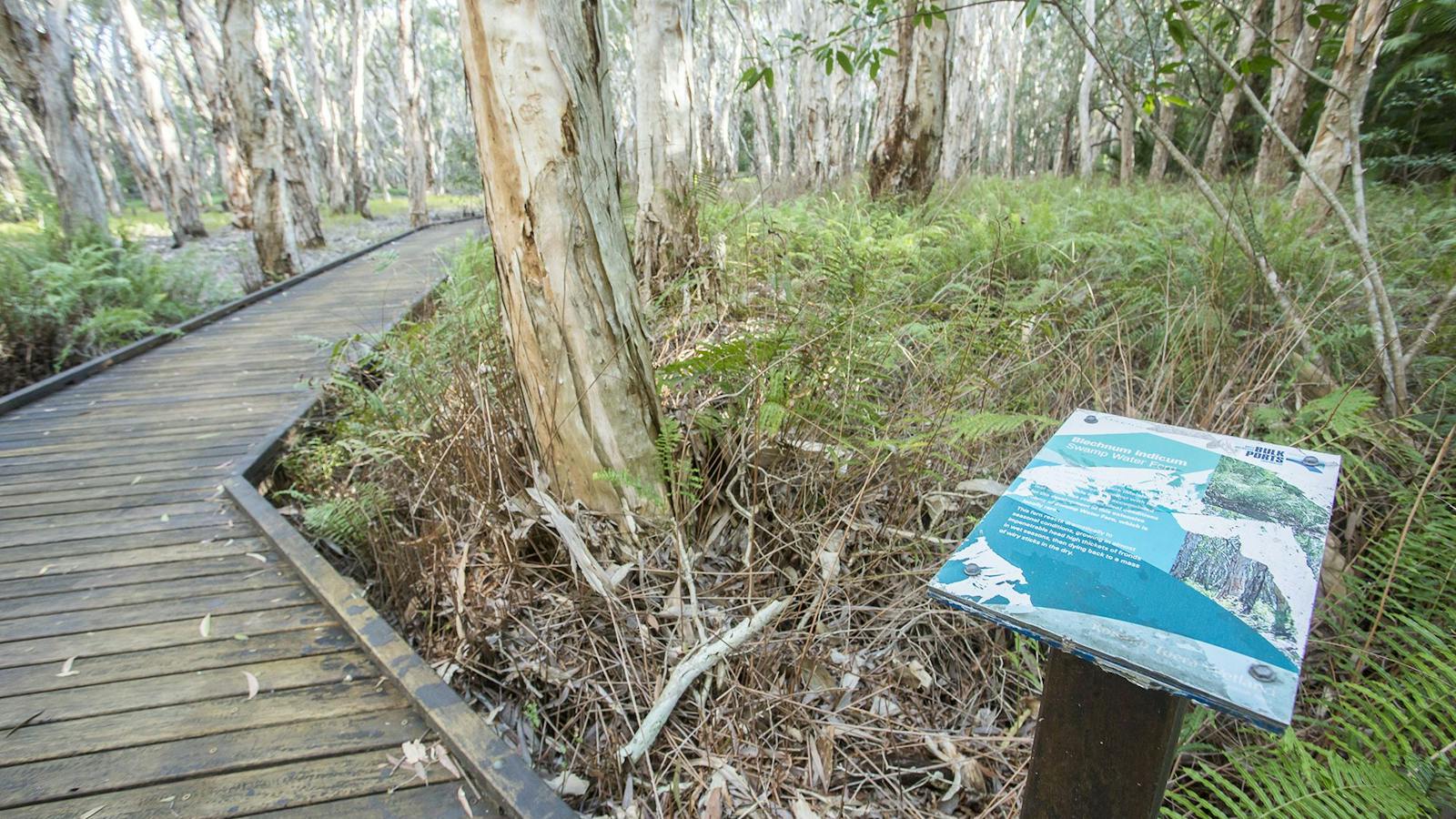 The Kommo Toera Trail