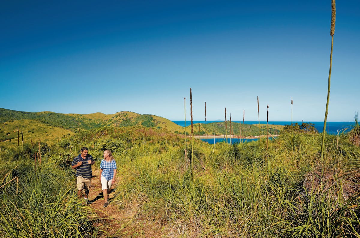 Birdwatching on Keswick Island