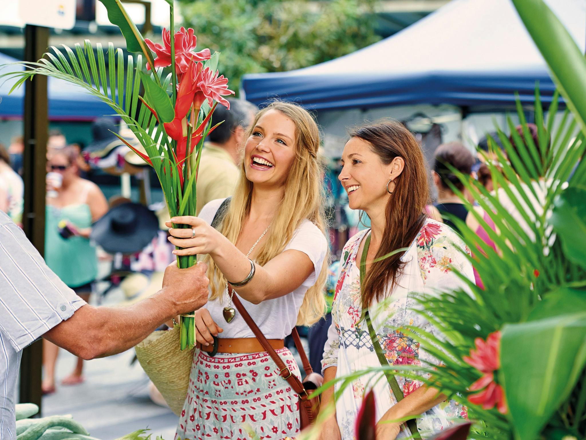 Cotters Markets