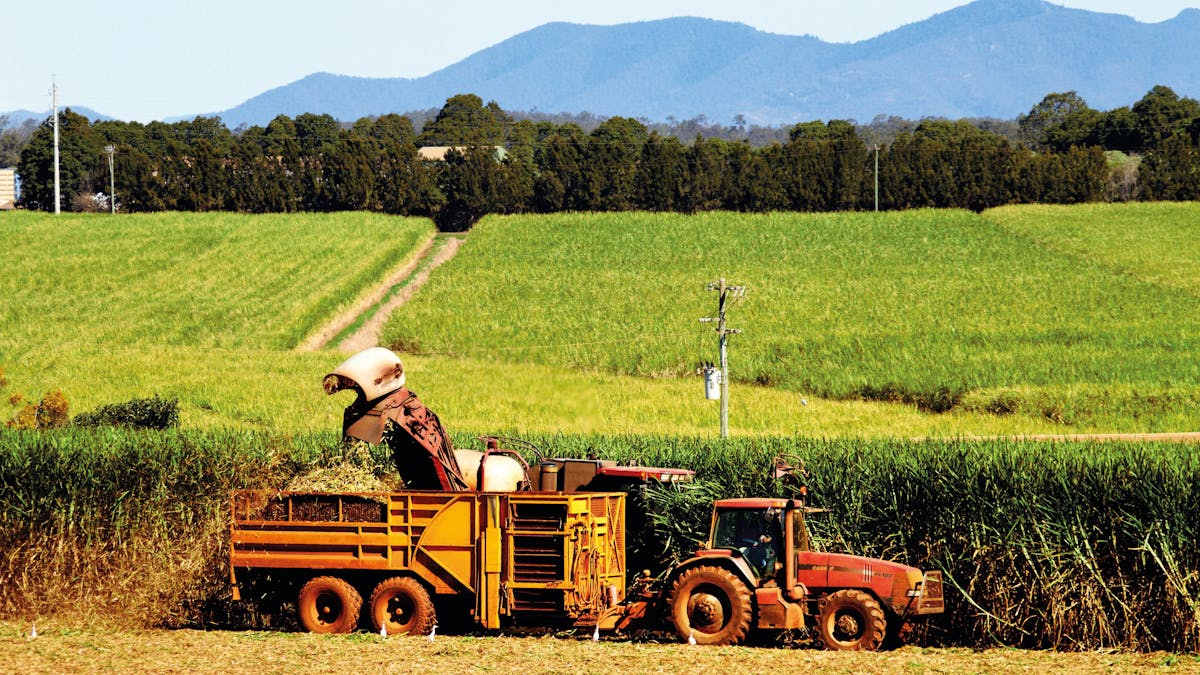 Farming in Cordalba