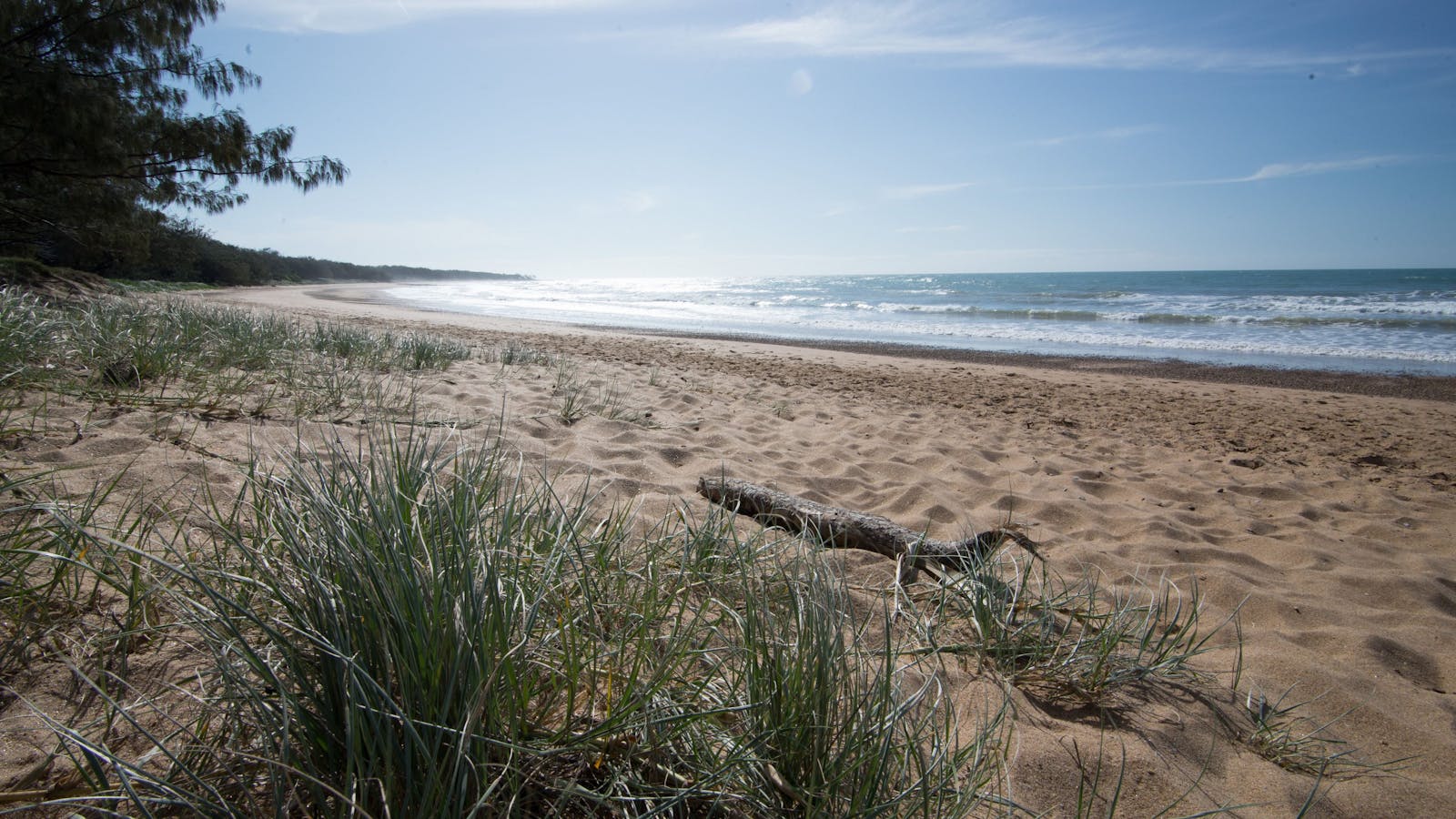 Mon Repos Beach