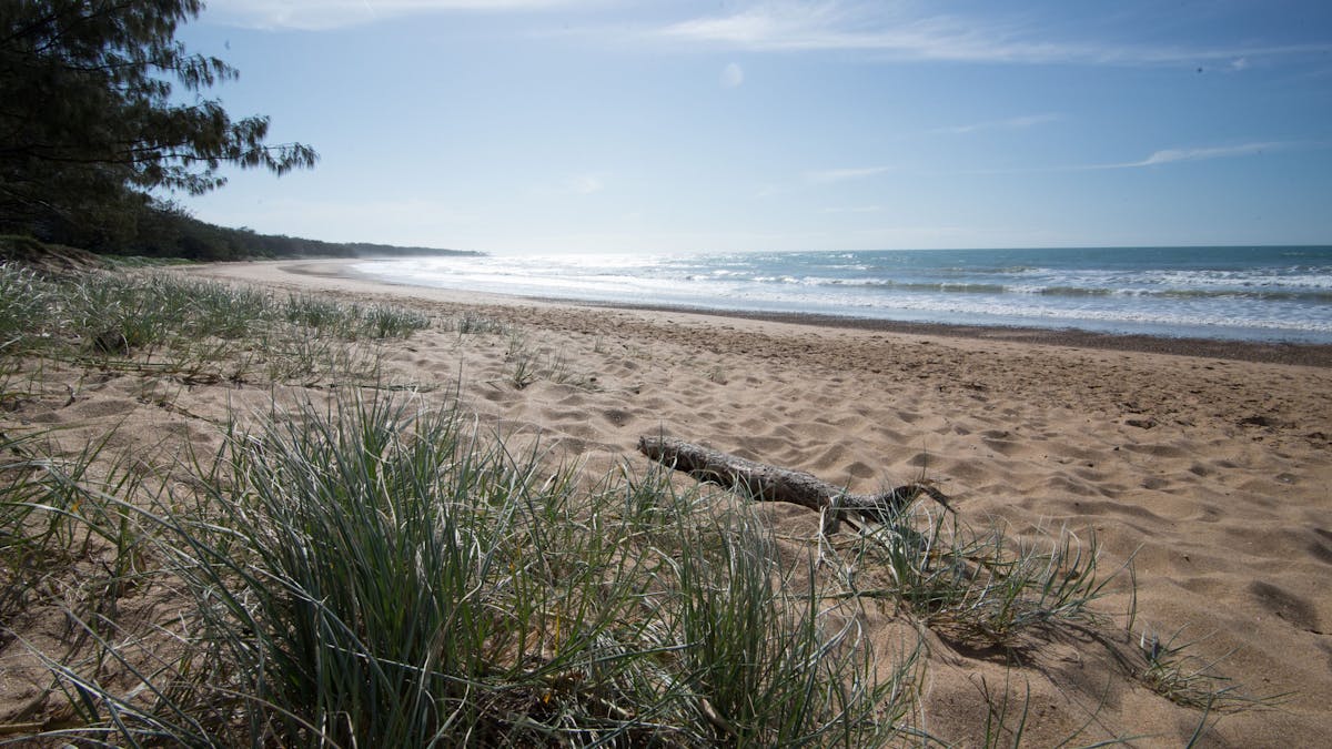 Mon Repos looking north