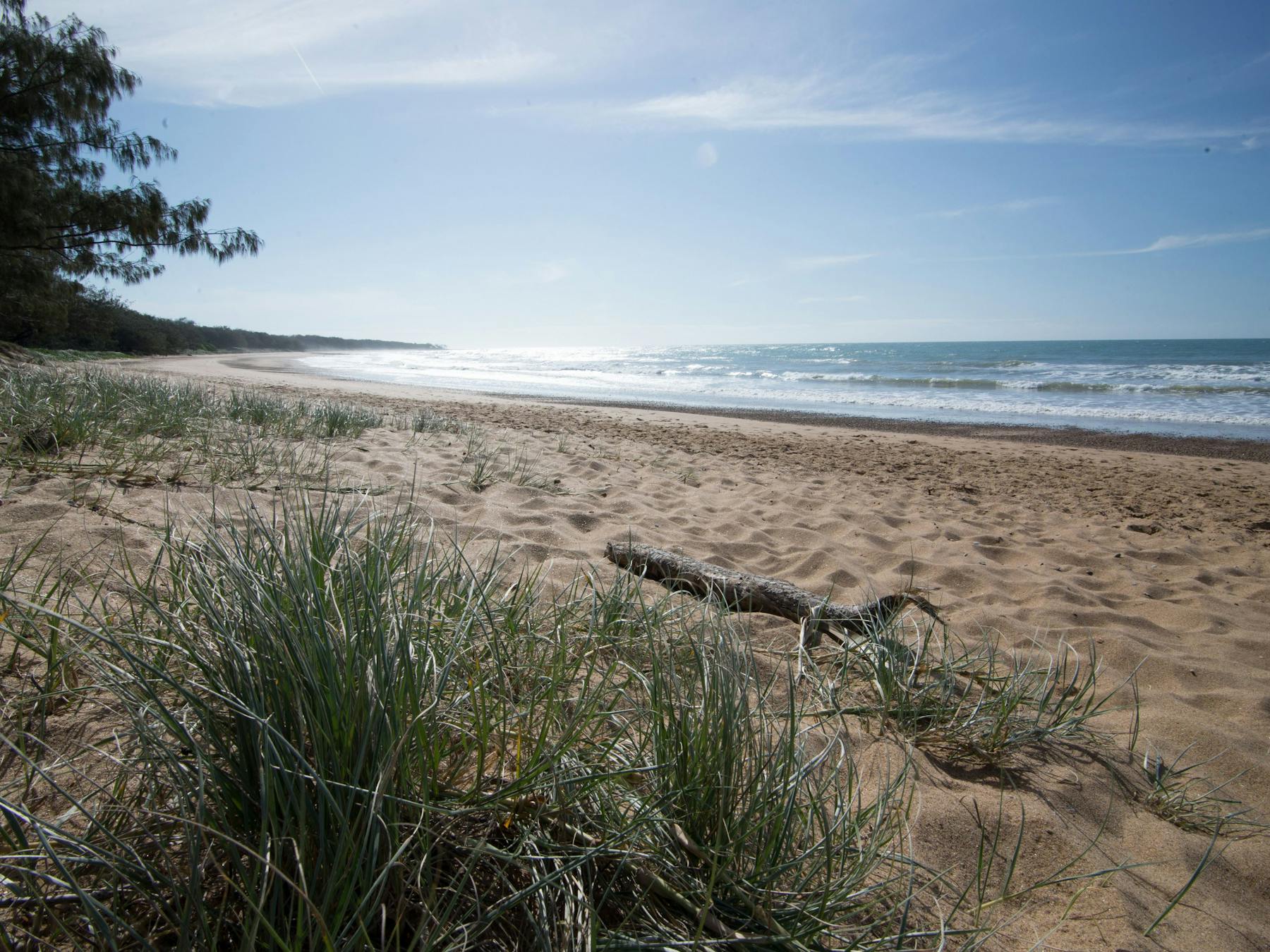 Mon Repos looking north