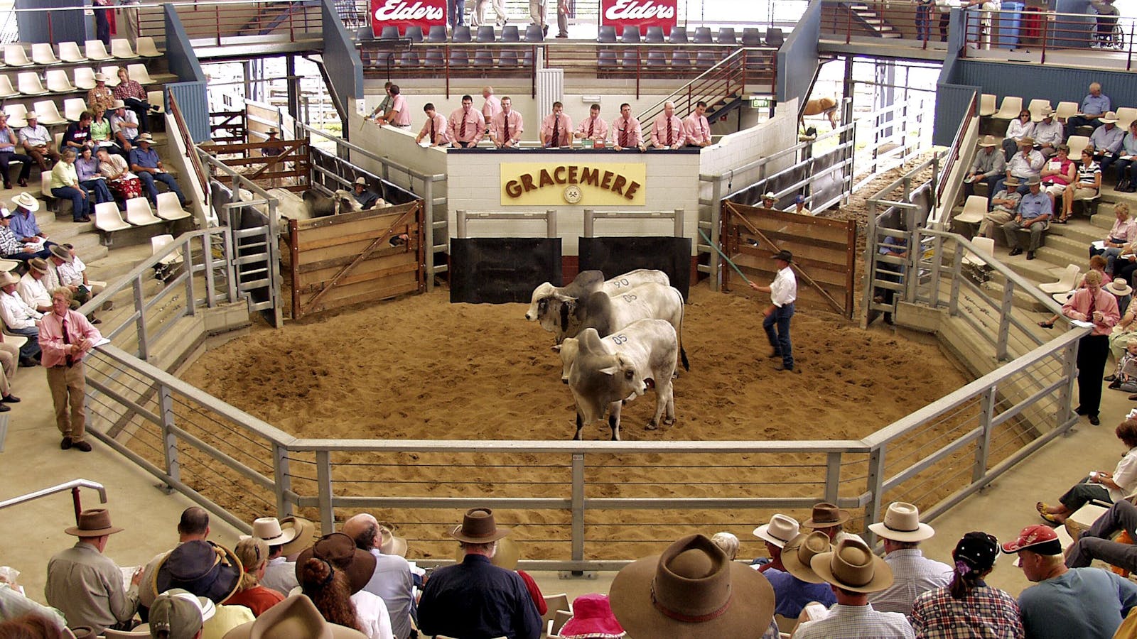 Gracemere Exhibition Complex