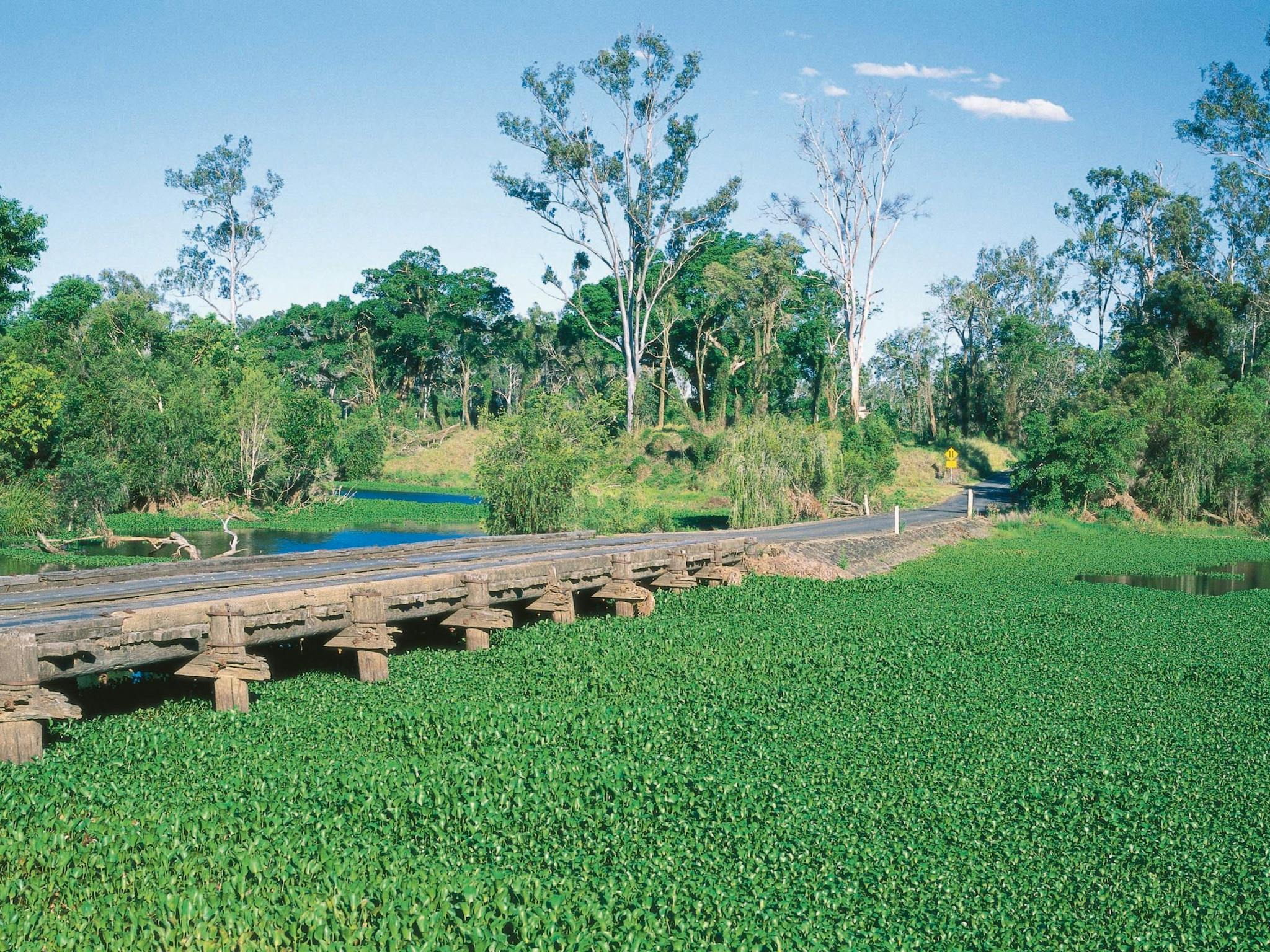 Smiths Crossing, north of Bundaberg