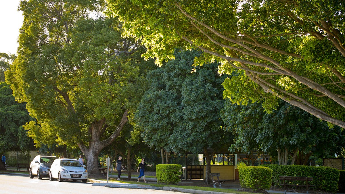 Miriam Vale 