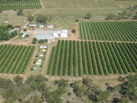 Mundubbera image