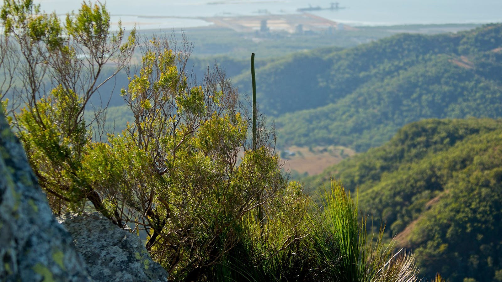 Mount Larcom Climb