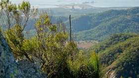 Mount Larcom Climb