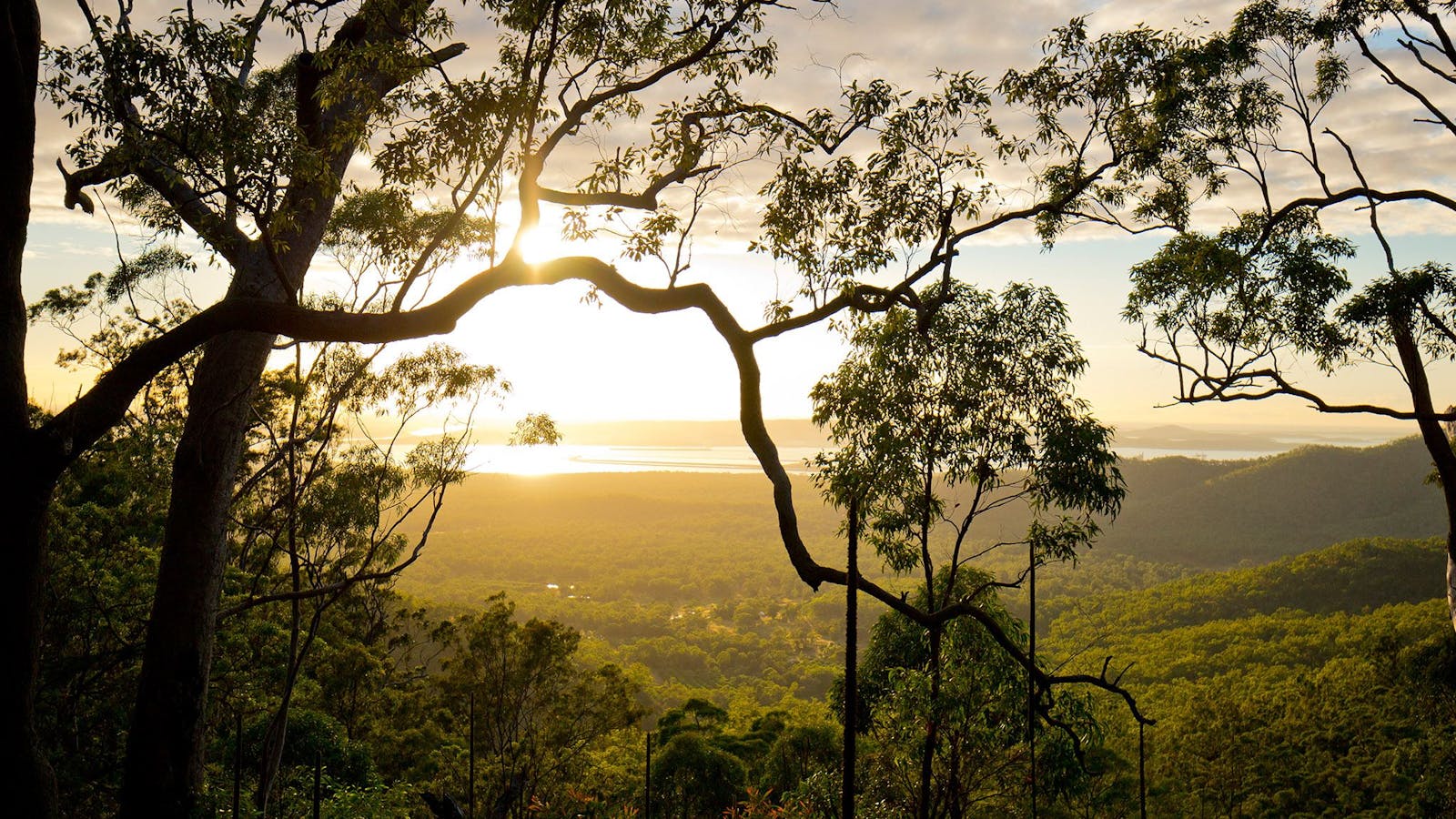 Mount Larcom Climb