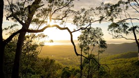 Mount Larcom Climb