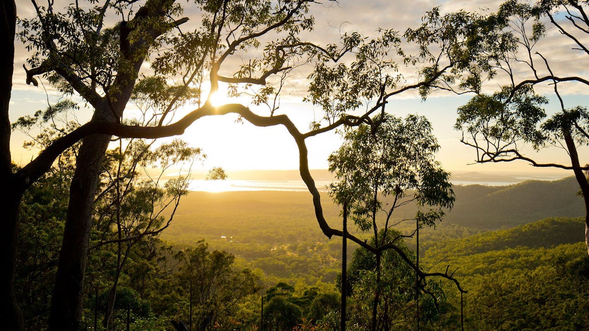 Mount Larcom 