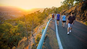 Castle Hill Walkers