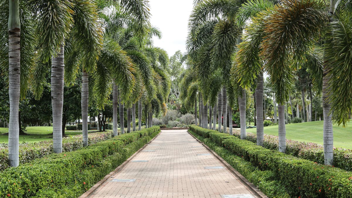 Dan Gleeson Memorial Gardens