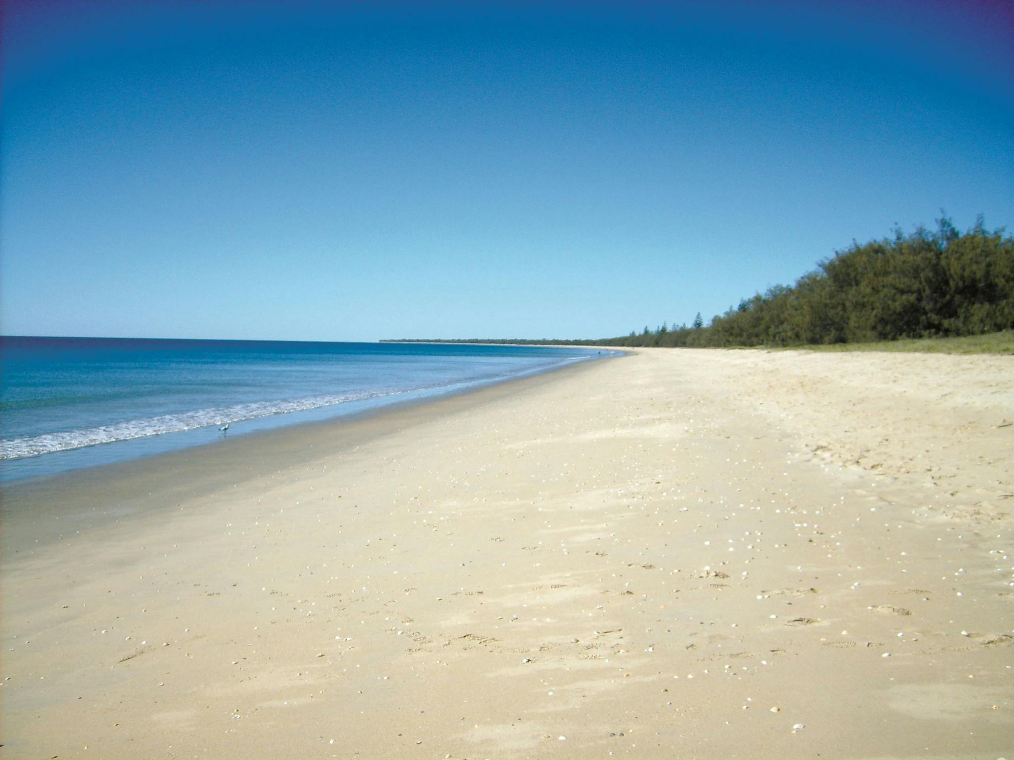 Woodgate Beach
