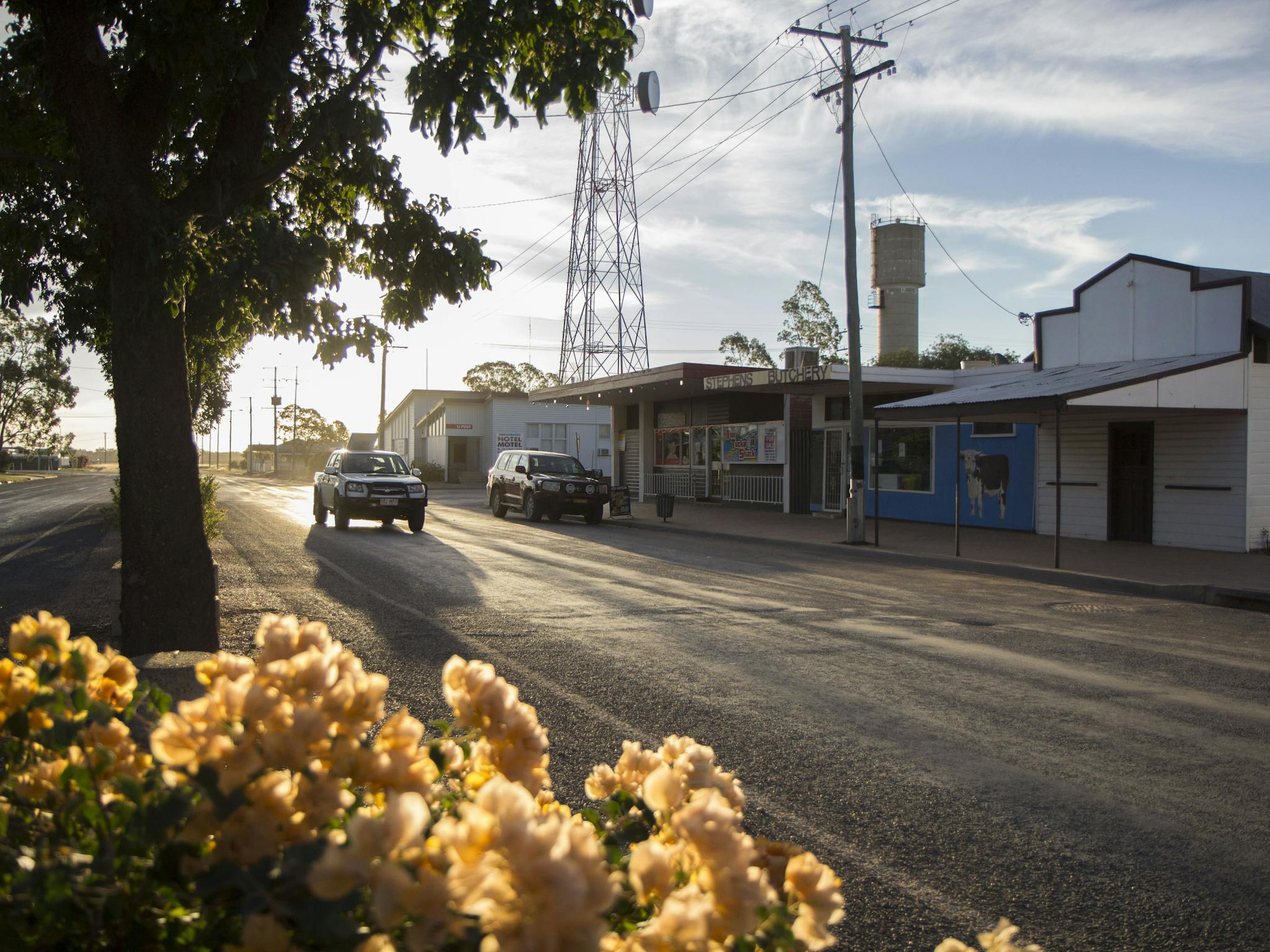 Dirranbandi Destination Information Queensland