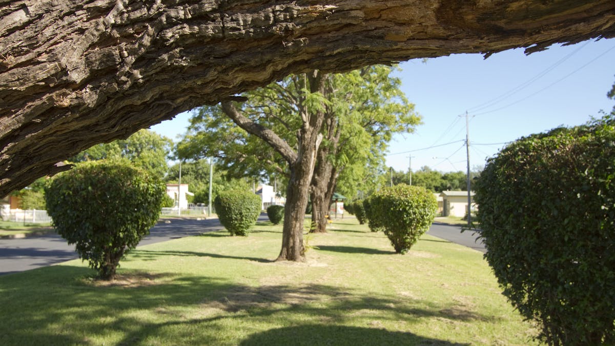 Park at Helidon
