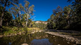 Carnarvon Gorge