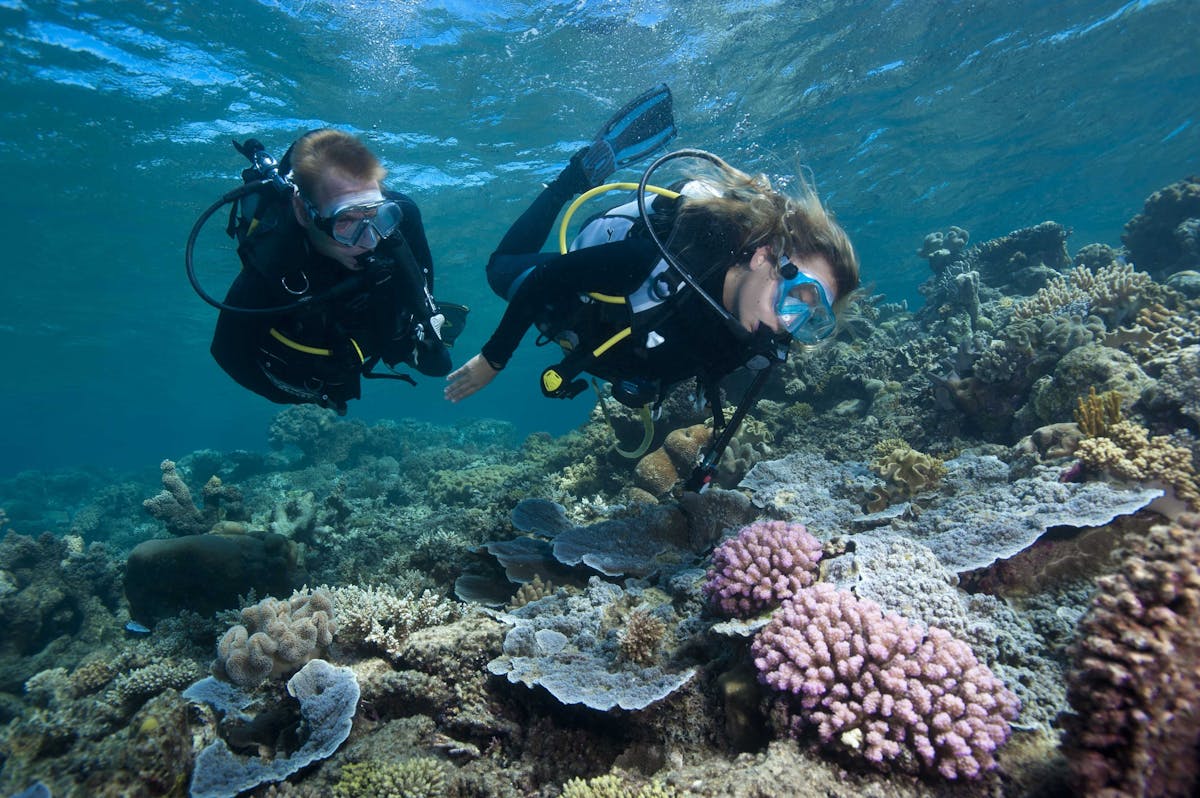 Scuba Diving Great Barrier Reef