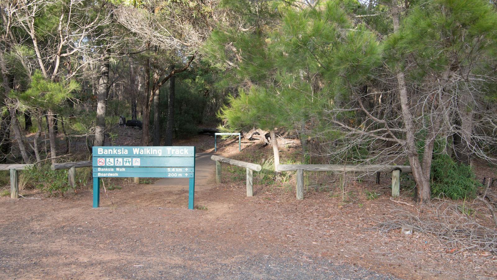 Banksia Walking Track