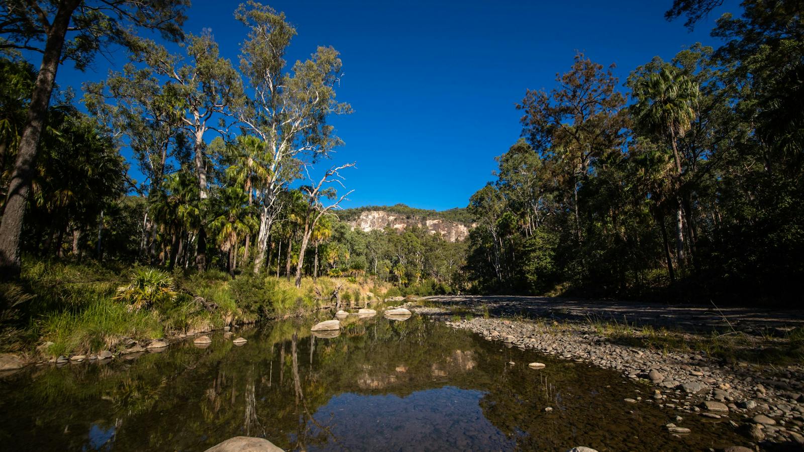 Carnarvon Gorge