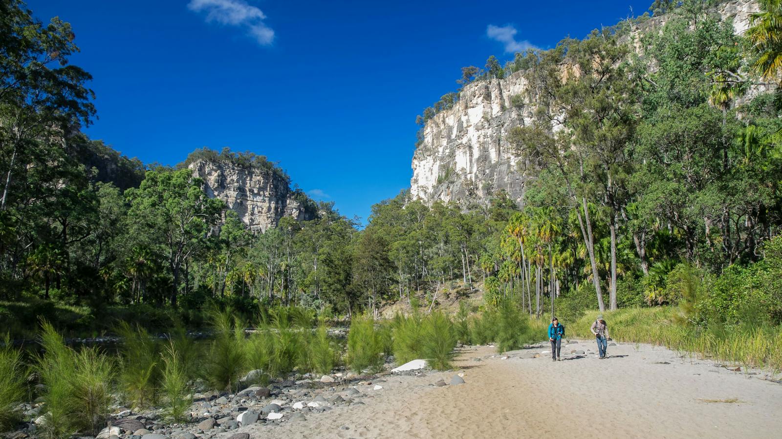 Carnarvon Gorge