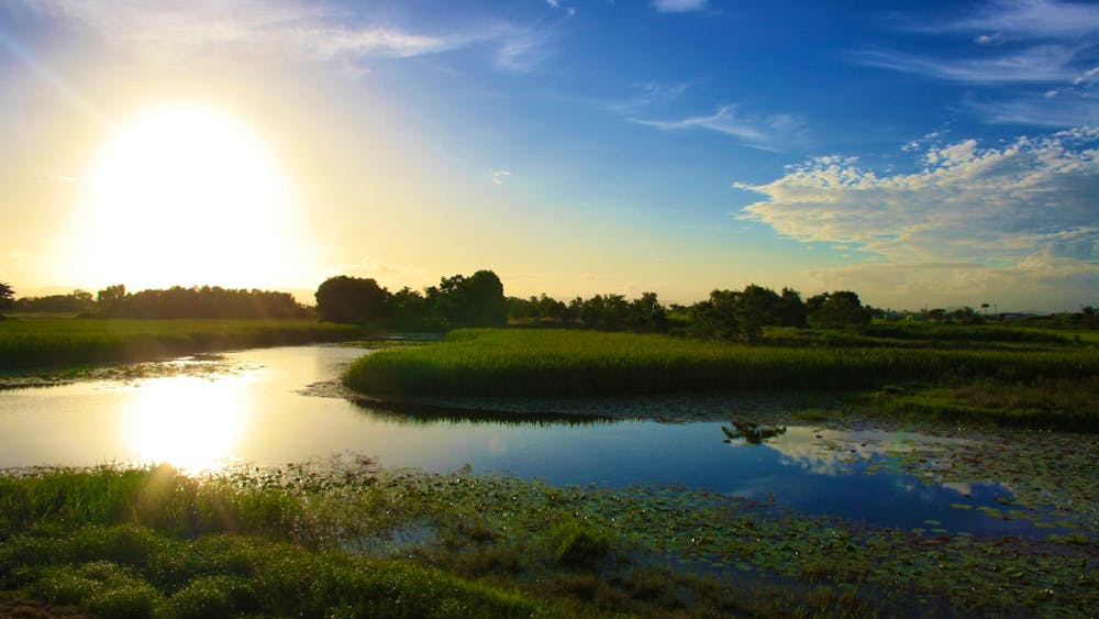 TYTO Wetlands