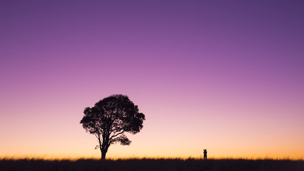 Fraser Coast Hinterland