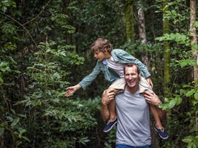 Paluma and Crystal Creek Rainforest