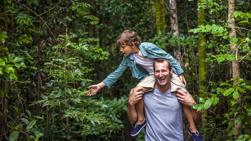 Paluma and Crystal Creek Rainforest