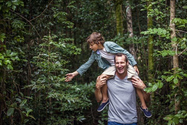 Rainforest Paluma