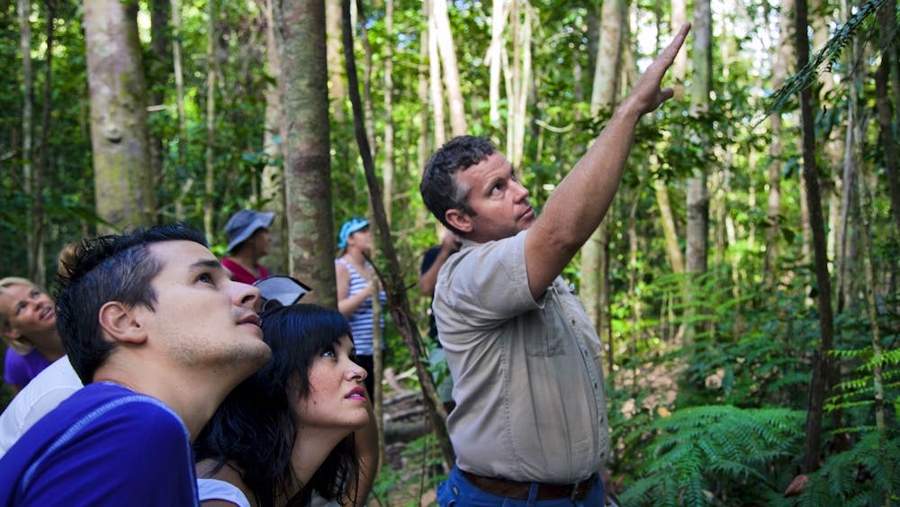 Paluma and Crystal Creek Rainforest