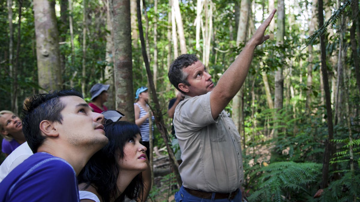Paluma Rainforest Walk