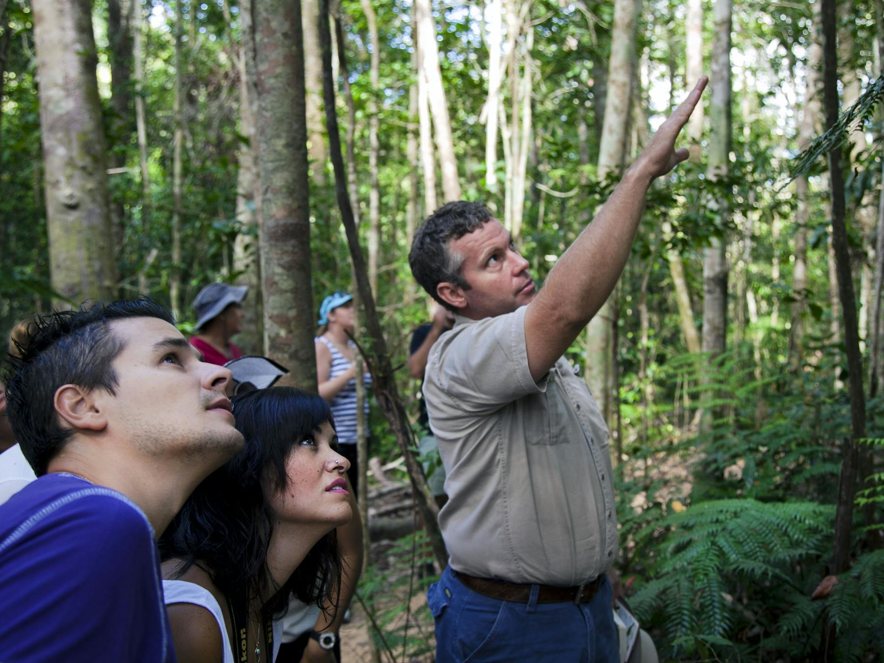 Paluma Rainforest Walk