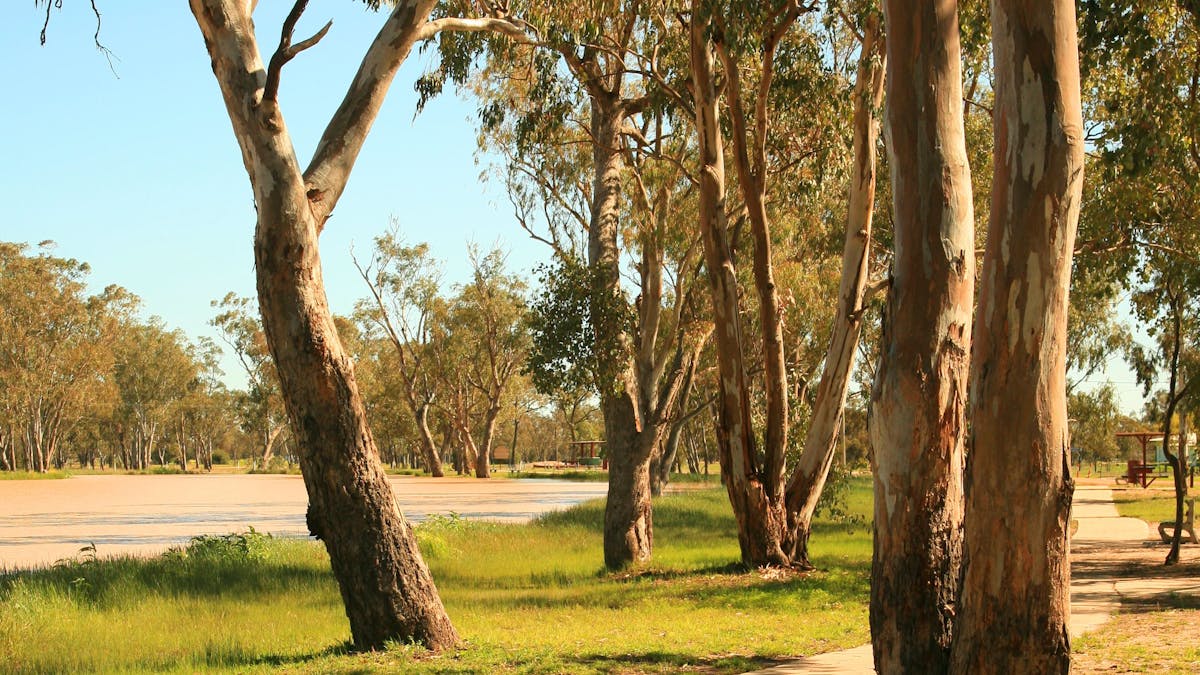 Walking Trail, Tara Walking Trail, Tara
