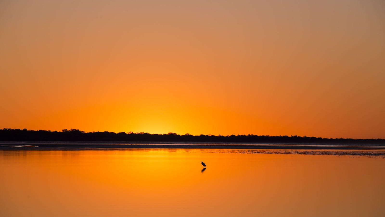 Birdwatching on the Fraser Coast