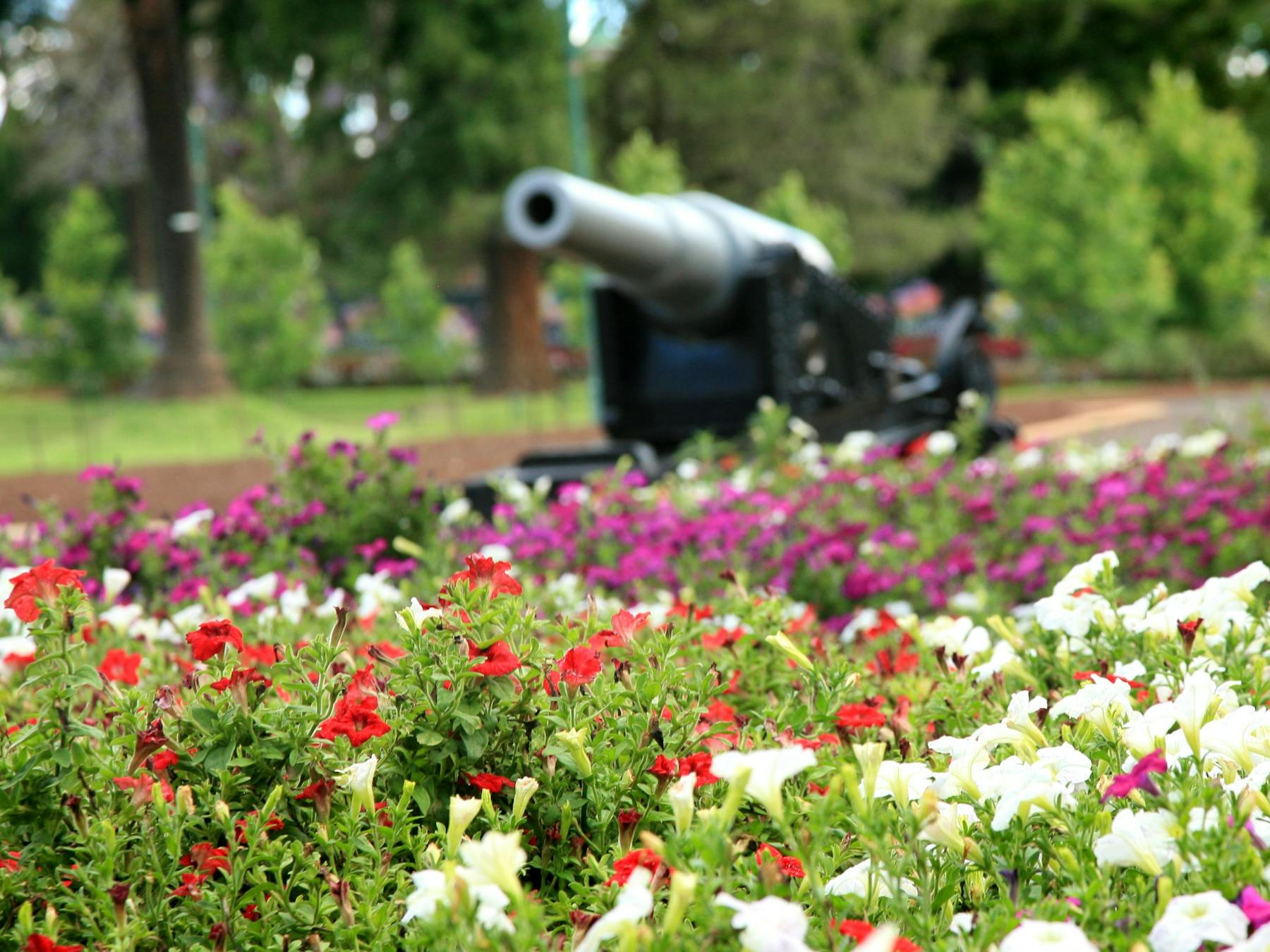 Queens Park, Toowoomba